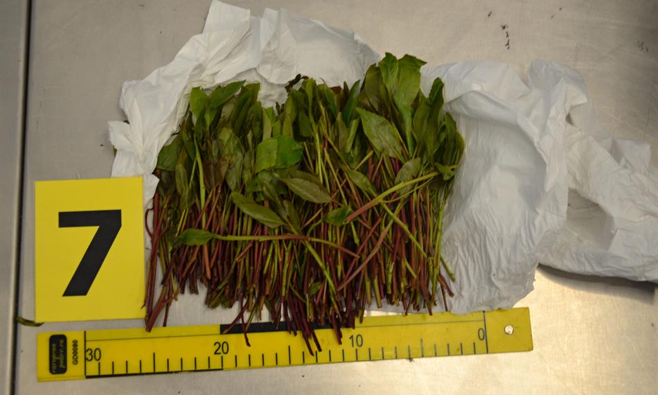 2019-11-11-1250hlavní foto1.JPG